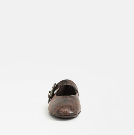 Circus Bella Mary Jane Flat in black/brown with classic strap and rounded toe.