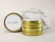 Cicada 4 oz Candle Assorted