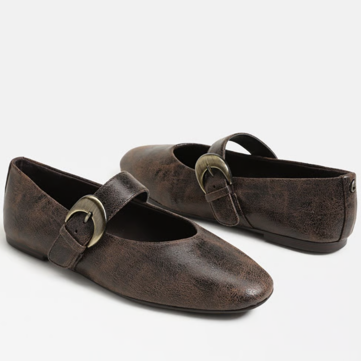 Circus Bella Mary Jane Flat in black/brown with classic strap and rounded toe.