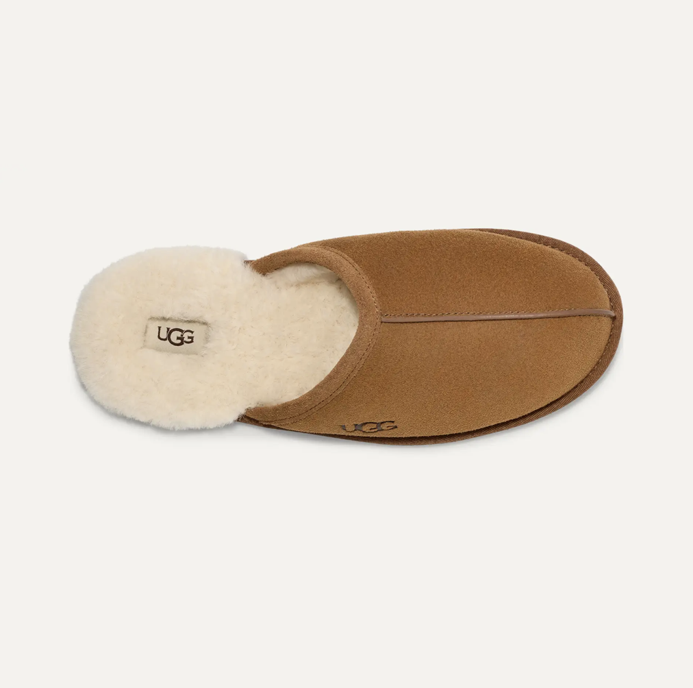 Ugg Men's Scuff Slipper