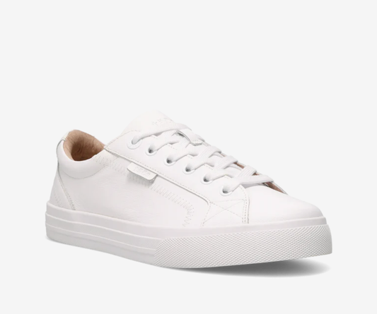 Taos Plim Soul Lux Leather Sneaker