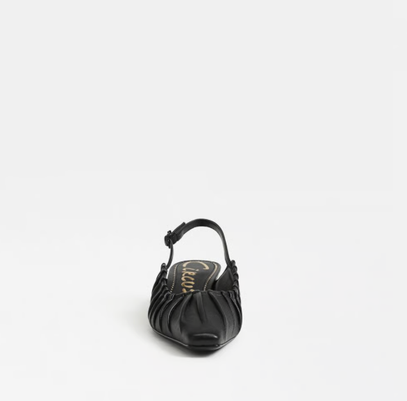 Circus Katia Slingback Kitten Heel with pointed toe and low kitten heel.