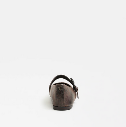 Circus Bella Mary Jane Flat in black/brown with classic strap and rounded toe.