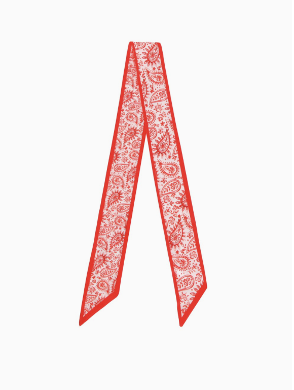 Paisley Skinny Scarf