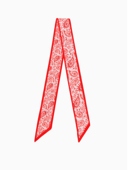 Paisley Skinny Scarf