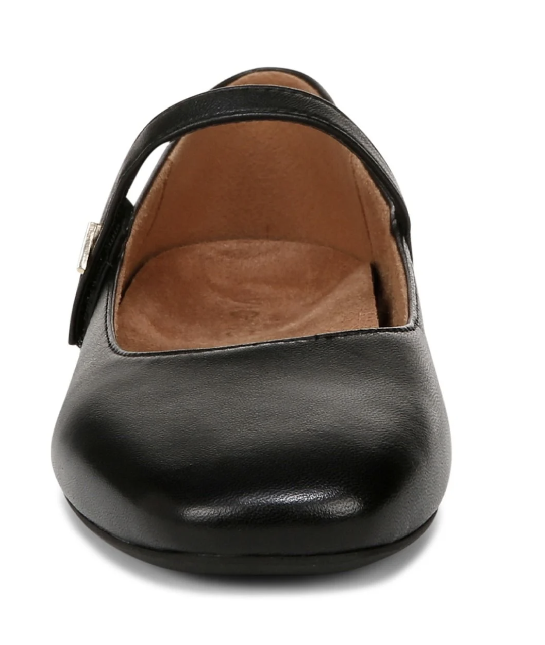A black leather Vionic Alameda Mary Jane shoe with a brown suede-like interior and a small gold buckle on the strap, shown from a front-facing angle on a white background.