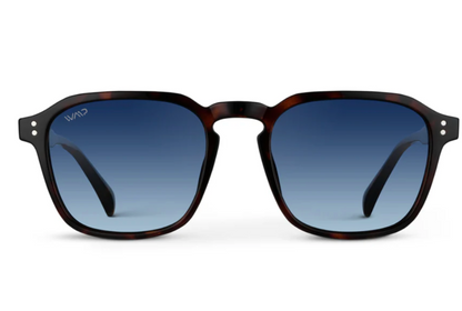 Francis Polarized Sunnies