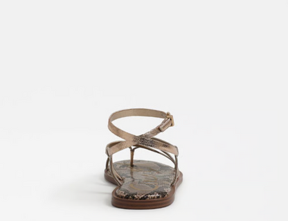 Circus Dakota Ankle Strap Sandal