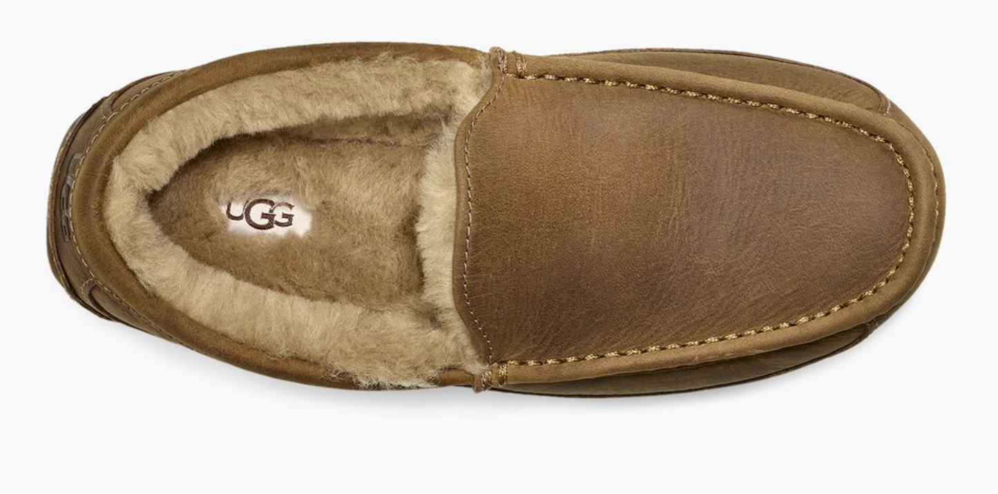 UGG® Ascot Matte Leather Slipper