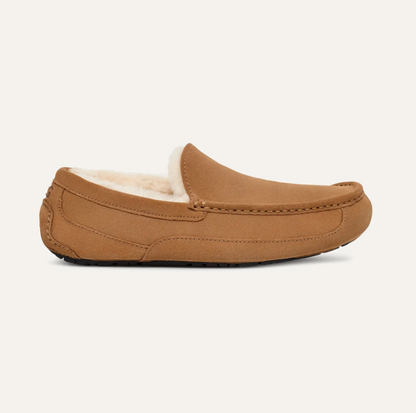Men’s UGG Ascot Suede Slipper in chestnut featuring a suede upper, UGGpure™ wool lining, moc‑toe stitching, and a durable indoor/outdoor rubber outsole.