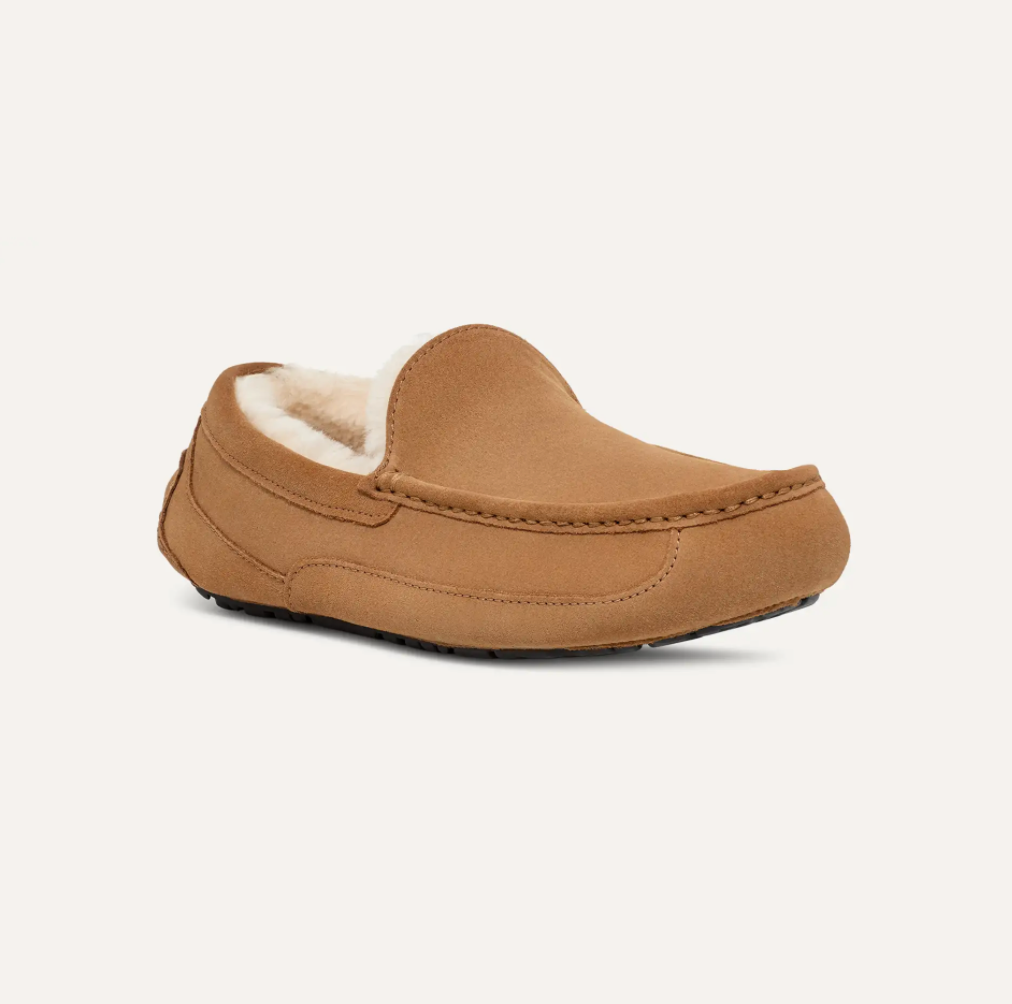 Men’s UGG Ascot Suede Slipper in chestnut featuring a suede upper, UGGpure™ wool lining, moc‑toe stitching, and a durable indoor/outdoor rubber outsole.