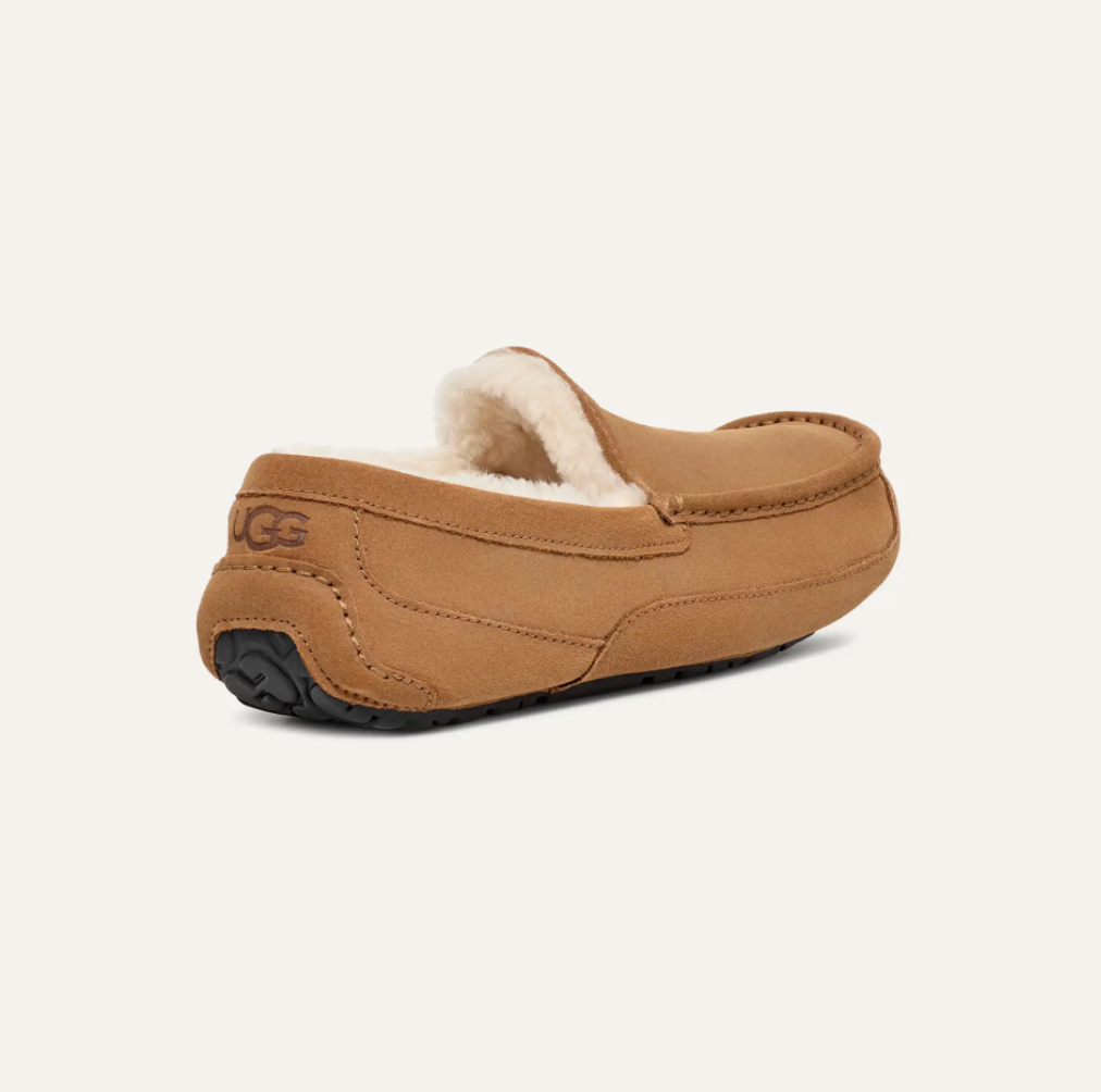 Men’s UGG Ascot Suede Slipper in chestnut featuring a suede upper, UGGpure™ wool lining, moc‑toe stitching, and a durable indoor/outdoor rubber outsole.