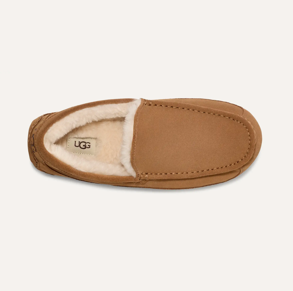 Men’s UGG Ascot Suede Slipper in chestnut featuring a suede upper, UGGpure™ wool lining, moc‑toe stitching, and a durable indoor/outdoor rubber outsole.