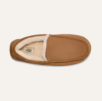 Men’s UGG Ascot Suede Slipper in chestnut featuring a suede upper, UGGpure™ wool lining, moc‑toe stitching, and a durable indoor/outdoor rubber outsole.