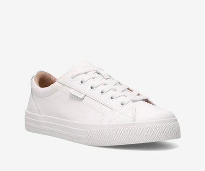Taos Plim Soul Lux Leather Sneaker