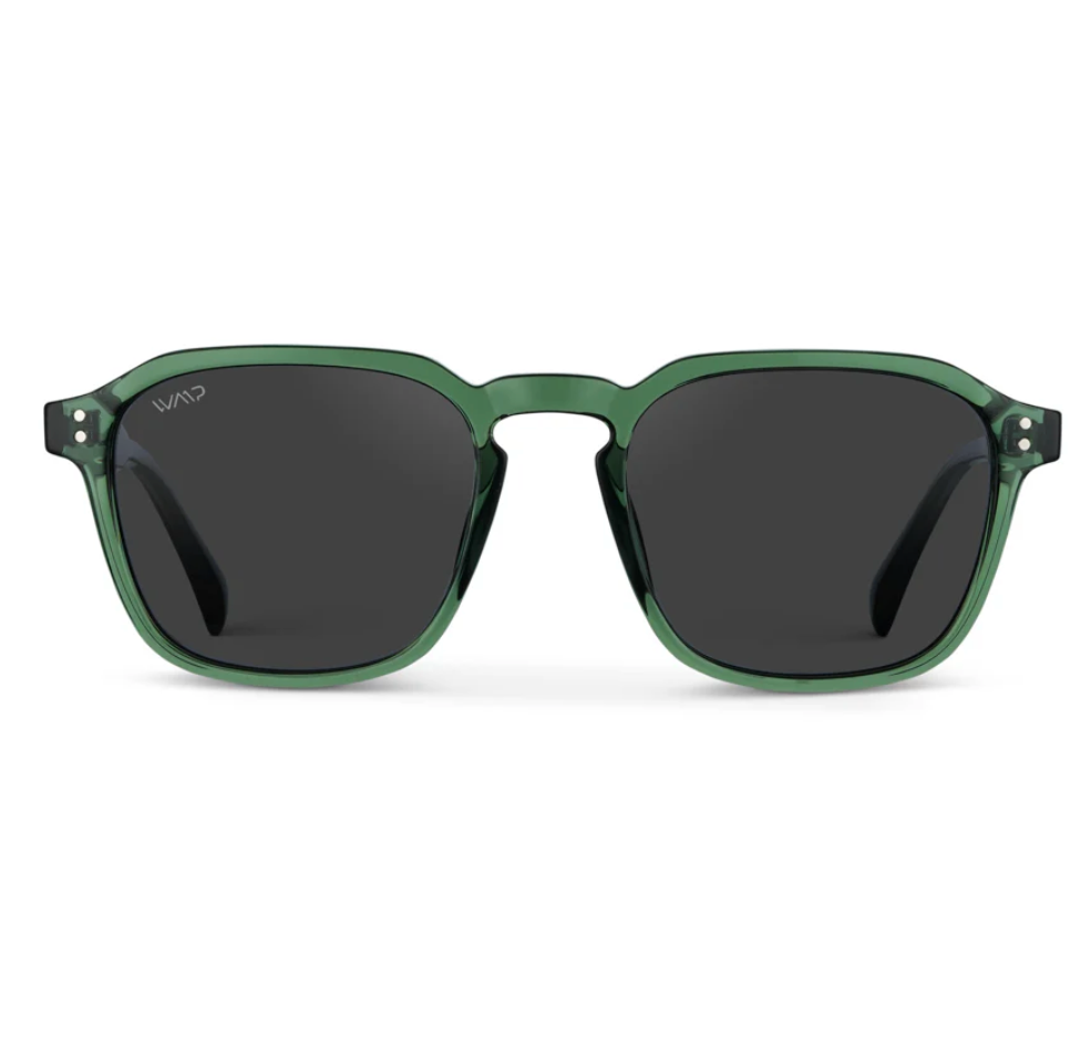 Francis Polarized Sunnies