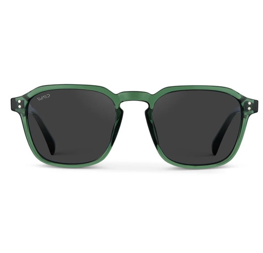 Francis Polarized Sunnies