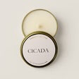 Cicada 4 oz Candle Assorted